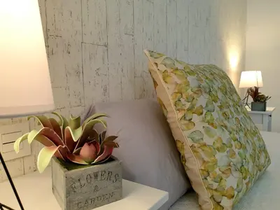 a pillow and a potted plant on a bed at Sherryflat Cádiz in Cádiz