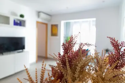 a vase with plants in a room with a tv at El Embrujo de La Caleta by Gades Gestión in Cádiz