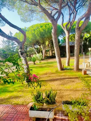 a park with trees and a bench and flowers at Agradable casa de campo con piscina en la Barrosa in Chiclana de la Frontera