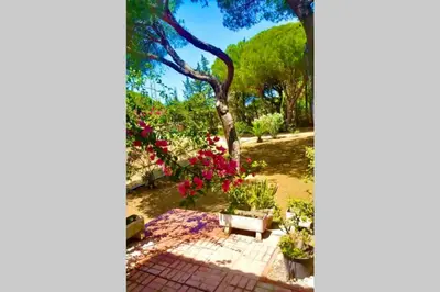 a garden with pink flowers and a bench at Agradable casa de campo con piscina en la Barrosa in Chiclana de la Frontera