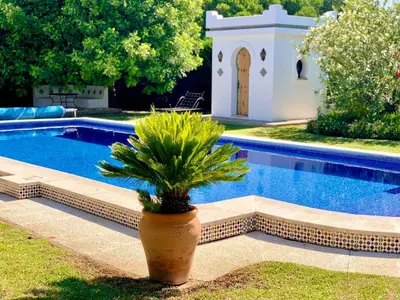 a plant in a pot next to a swimming pool at Studio La Maravilla 1001 Nacht, Playa La Barrosa in Chiclana de la Frontera