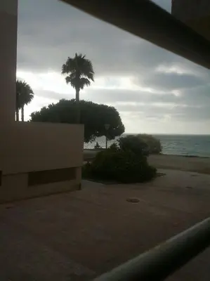 a view of a beach with a palm tree and the ocean at Piso con parking en el edificio, Rio san pedro, CADIZ in El Trocadero
