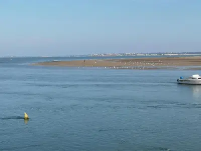 a boat in a body of water with a flock of birds at Piso con parking en el edificio, Rio san pedro, CADIZ in El Trocadero