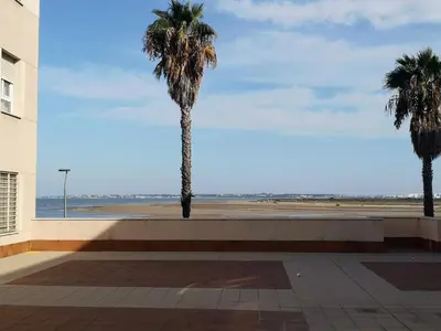 two palm trees in front of the beach at Piso con parking en el edificio, Rio san pedro, CADIZ in El Trocadero