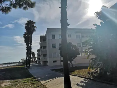 a building with palm trees in front of a building at Piso con parking en el edificio, Rio san pedro, CADIZ in El Trocadero