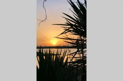 a sunset over a body of water with a palm tree at Apartamento Las Dunas in El Puerto de Santa María