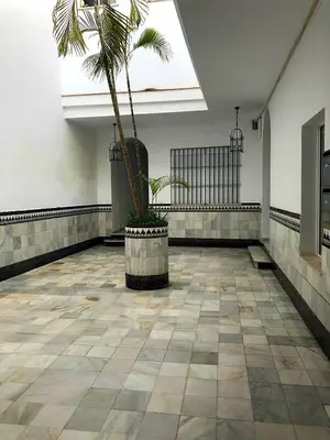 a room with a palm tree in the middle at Sherryflat Corredera Terrace in Jerez de la Frontera