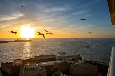 a flock of birds flying over the ocean at sunset at ATLANTICO Family Home by Cadiz4Rentals in Cádiz