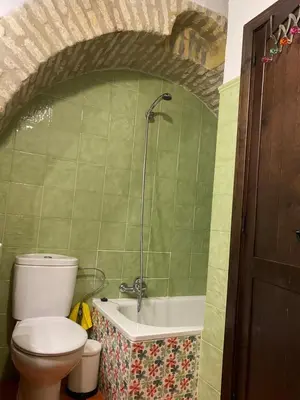a bathroom with a toilet and a bath tub at Mirador Villa Perla Grupo AC Gestion in Arcos de la Frontera