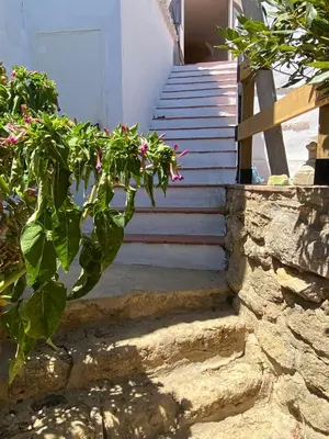 a set of stairs with a plant with pink flowers at Mirador Villa Perla Grupo AC Gestion in Arcos de la Frontera