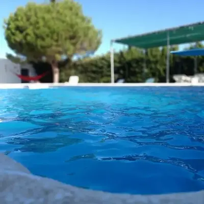 SOLECITO
