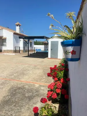 a bunch of flowers on the side of a wall at casa lucia in Cádiz