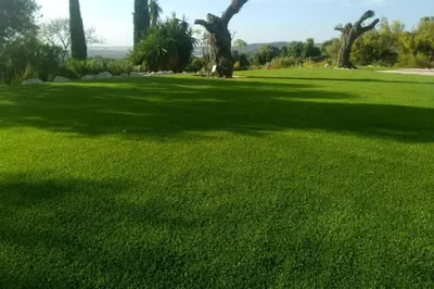 a large field of green grass with trees in it at Villa exclusiva con piscina privada, La Tina Golf in Arcos de la Frontera
