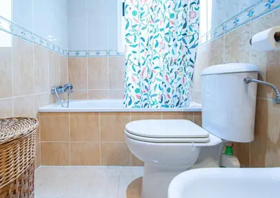 a bathroom with a toilet and a shower curtain at Esencia de Cádiz Entre la Viña y el mercado in Cádiz