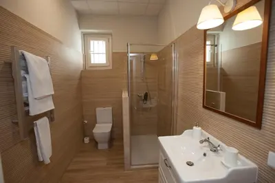 a bathroom with a sink and a shower and a toilet at Patios de la Riva in Jerez de la Frontera