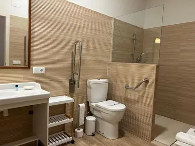 a bathroom with a toilet and a sink and a shower at Patios de la Riva in Jerez de la Frontera