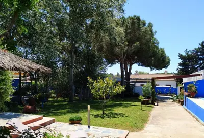 a yard with trees and a house and a sidewalk at La Casita de Los Alambiques in Chiclana de la Frontera