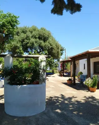 a large white planter with a tree in it at La Casita de Los Alambiques in Chiclana de la Frontera