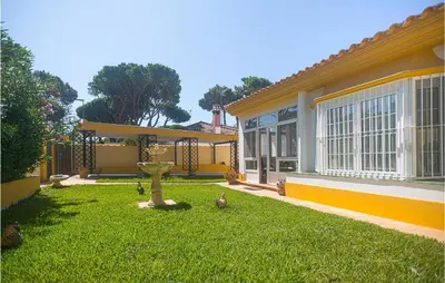 a yard with chickens standing in the grass in front of a building at Lovely Home In Chiclana De La Fronter in Cádiz