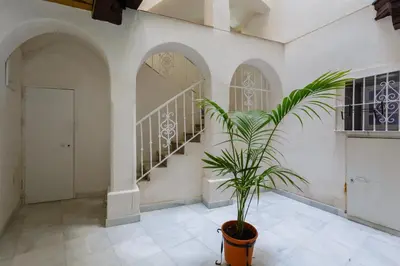 a potted plant in a room with a staircase at Apartamentos LOTO y LIZ by Cadiz4Rentals in Cádiz
