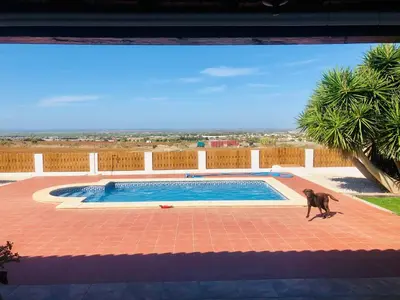 a monkey standing in front of a swimming pool at Casa Con Encanto Solo Familia in Conil de la Frontera