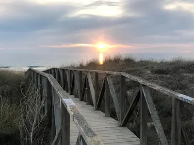 a wooden boardwalk leading to the beach with the sunset at GATU PREMIUM Conil Sunset house con piscina, 3 dormit, 3 baños, jardín privado , wifi y parking, preferente mayores de 21 años y familias in Conil de la Frontera