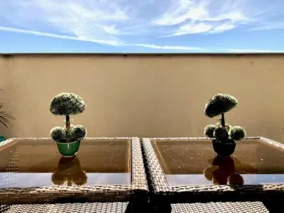 two potted plants sitting on top of a table at GATU PREMIUM Ático Parra, parking, piscina común, terraza, wifi , 