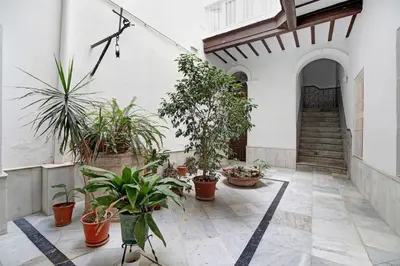a courtyard with potted plants in a building at Precioso alojamiento en Cádiz junto al mercado in Cádiz