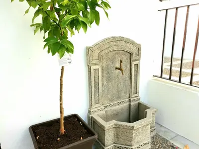 a potted tree in a planter next to a window at Sherryflat Neira - Parking in Jerez de la Frontera