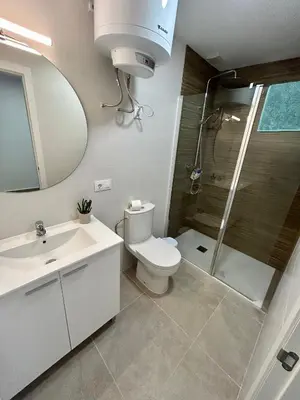 a bathroom with a toilet and a shower and a sink at Apartamentos Los Cabezuelos, Dream Views in Arcos de la Frontera