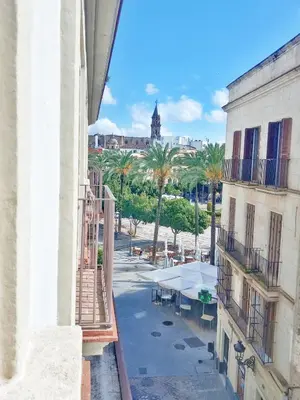 a view of a street from a building with palm trees at Penthouse Arenal - Boutique Puerta Real in Jerez de la Frontera