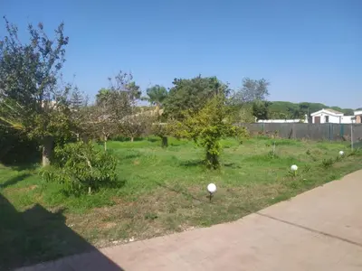 a yard with trees and a fence with balls in the grass at El Moral in Cádiz
