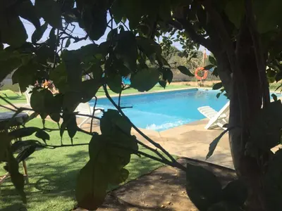 a swimming pool with a chair and a tree at Chiclana Mobile House - Piscina , Wi-Fi, Relax in Chiclana de la Frontera