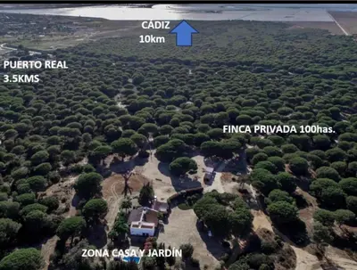 an aerial view of a forest of trees with a blue arrow at Dehesa de las Yeguas casa en finca privada con piscina y playa in Cádiz