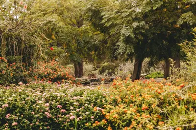 a garden filled with lots of flowers and trees at Dehesa de las Yeguas casa en finca privada con piscina y playa in Cádiz