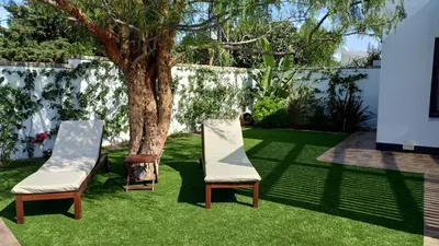 two chairs sitting next to a tree in a yard at Falsa Pimienta - Sólo Familias y Parejas in Conil de la Frontera