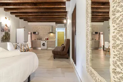 a bedroom with a bed and a living room at Allo Apartments Plateros Centro Jacuzzi Comunitario in Jerez de la Frontera