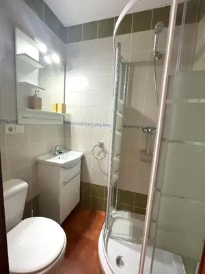a bathroom with a shower and a toilet and a sink at La Galería de Botica in Cádiz
