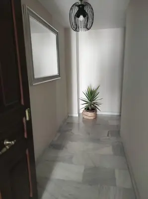 a hallway with a potted plant and a window at Idalia 19 Atico in Sanlúcar de Barrameda