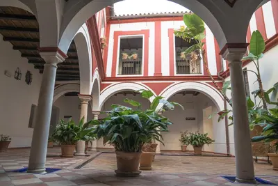 an arcade with potted plants in a building at Loft en casa Palacio Mergelina Parking gratis in Sanlúcar de Barrameda