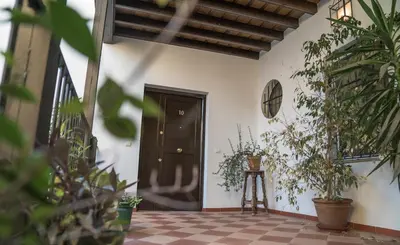 a hallway with potted plants and a black door at Loft en casa Palacio Mergelina Parking gratis in Sanlúcar de Barrameda