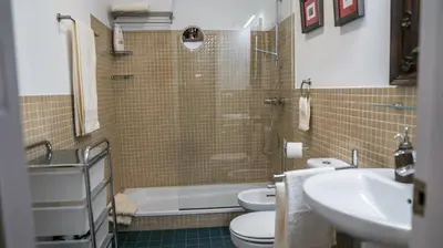 a bathroom with a shower and a toilet and a sink at Loft en casa Palacio Mergelina Parking gratis in Sanlúcar de Barrameda