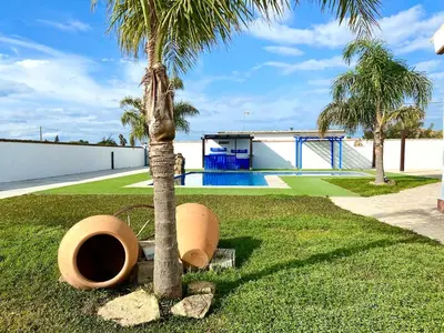 a palm tree in a yard next to a pool at EL ALAZAN in Chiclana de la Frontera