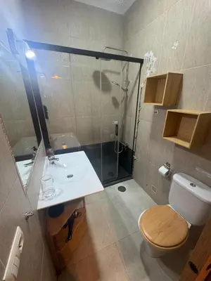a bathroom with a shower and a toilet and a sink at PRECIOUS AND ORIGINAL APARTMENT CENTER in Cádiz