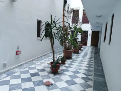a hallway with potted plants on a checkered floor at Casa Viento de Levante in Cádiz