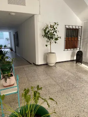 a room with potted plants on the wall at Apartamentos La Higuera 1 in Rota