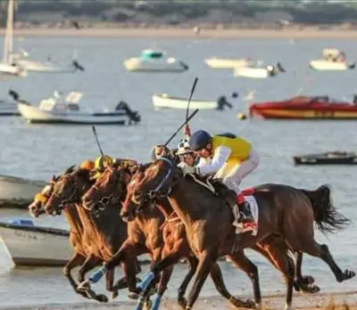 a group of horses racing on the beach at ALOJAMIENTO La CAPILLITA HABITACION CON BAÑO in Sanlúcar de Barrameda