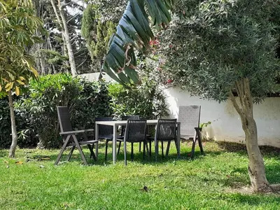 a table and chairs under a tree in the grass at Chalet Zorollo con piscina in Conil de la Frontera