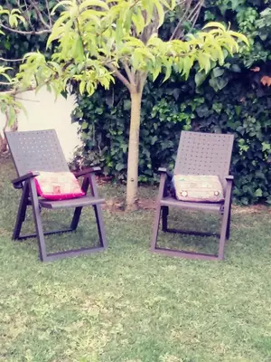 two chairs sitting on the grass next to a tree at Chalet Zorollo con piscina in Conil de la Frontera