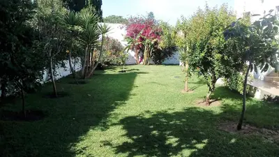 a green yard with trees and a building at Chalet Zorollo con piscina in Conil de la Frontera